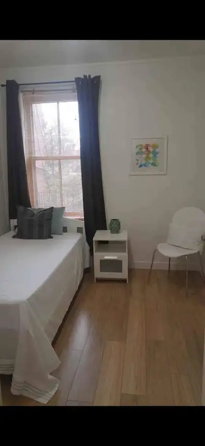 Downtown (Bloor/Christie) house room available