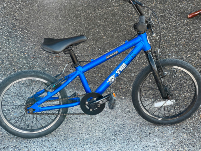 Spawn Yoji 14 inch Kids' Mountain Bike in Kids in Banff / Canmore - Image 4