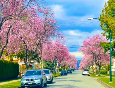 This laneway house is located at quiet and beautiful Arbutus neighborhood of Vancouver West. You may...