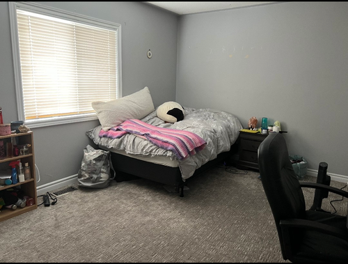 Female Trent students looking for female Trent student roommate. Nice bright room in newer home. Loc...