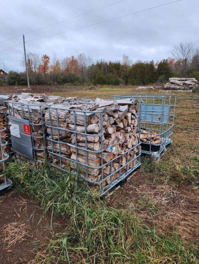 IBC Cages - Firewood Cages in Other in Ottawa - Image 2