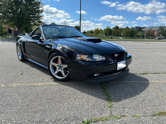 2003 Mustang GT Convertible in Cars & Trucks in Markham / York Region - Image 2