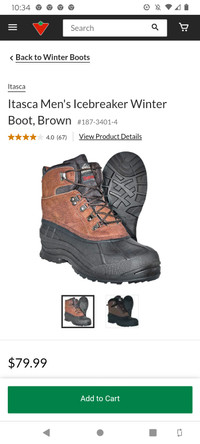 Itasca winter boots Men's