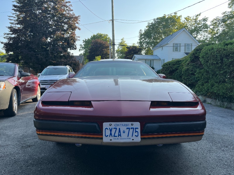 1987 Pontiac Firebird Classic Cars Napanee Kijiji