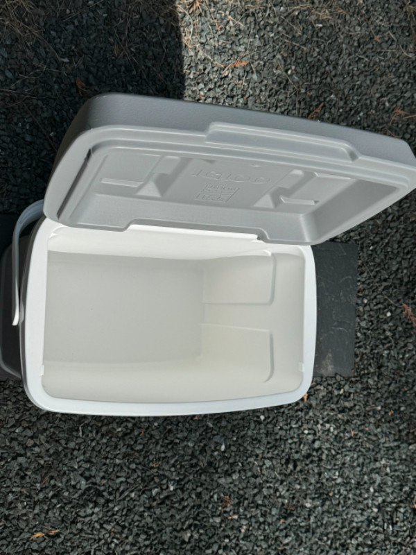 IGLOO 28 liter cooler in Fishing, Camping & Outdoors in Chilliwack - Image 3