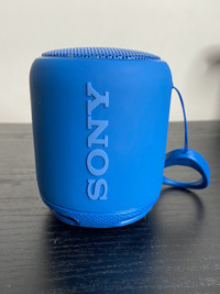 Waterproof Sony Speaker (SRS-XB10)