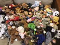 Large Beanie Babies Collection
