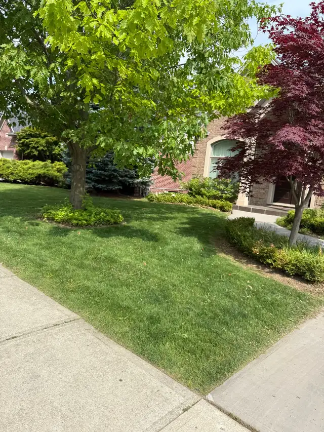 Landscaping Services - London Ontario63347533049729122