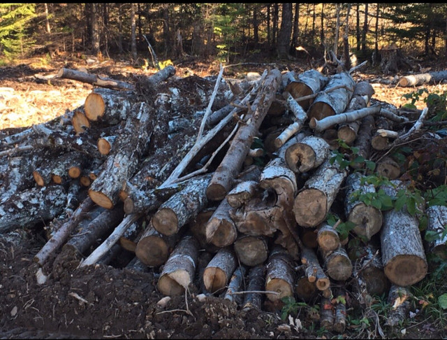 Firewood for Sale in Other in Bedford