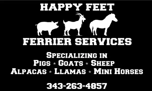 Experienced Small Animal Ferrier in Livestock in Trenton - Image 2