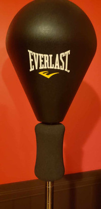 Ballon d'entraînement Everlast.