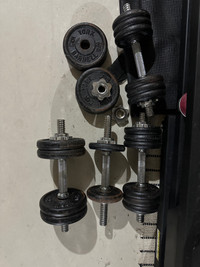 Dumbbell and fitness bench