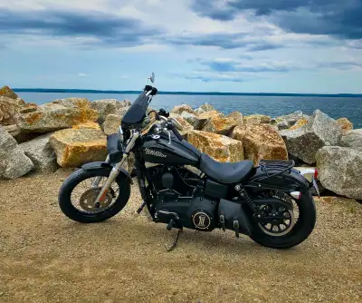 2012 Harley Davidson Street Bob Mint and ready to go, low kms. Serious inquires only.