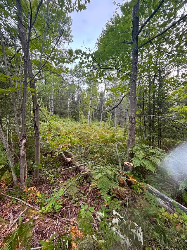 Land for sale near Whitefish63417637088769121