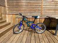 Vélo enfant kid bike roues de 20 pouces