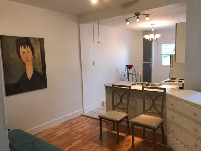 3 1/2 meublée-one bedroom, metro decl’Eglise-Verdun