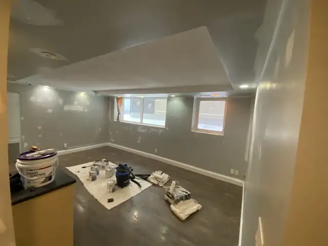 Affordable painter 65561325182722121