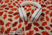 Monster Inspiration Headphones - White (#4536)