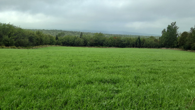 2-10 acres in millville Cape Breton in Land for Sale in Cape Breton - Image 3