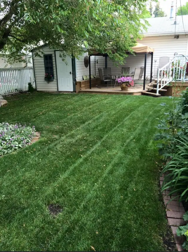 Red Deer Lawn Care62864360076802123