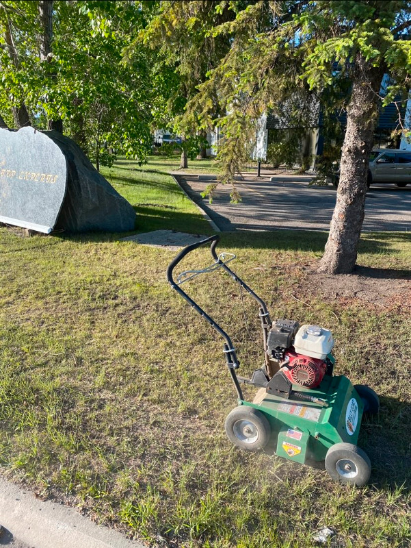Lawn Care - Aerate and Power Rake $110 in Lawn, Tree Maintenance & Eavestrough in Calgary - Image 2