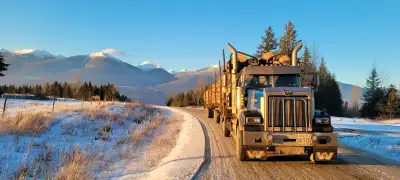 We are looking for experienced Log truck drivers in the prince george and local area. All positions...