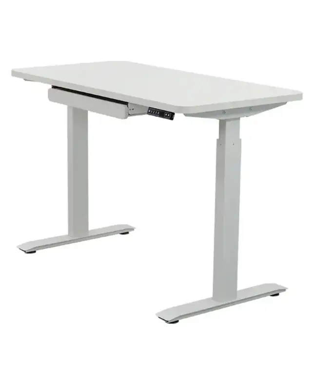 Brand New Motionwise 48x24" SDG48WElectric Height Adjustable De