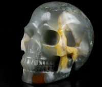 HUGE African Bloodstone Crystal Skull! Hand carved, realistic.