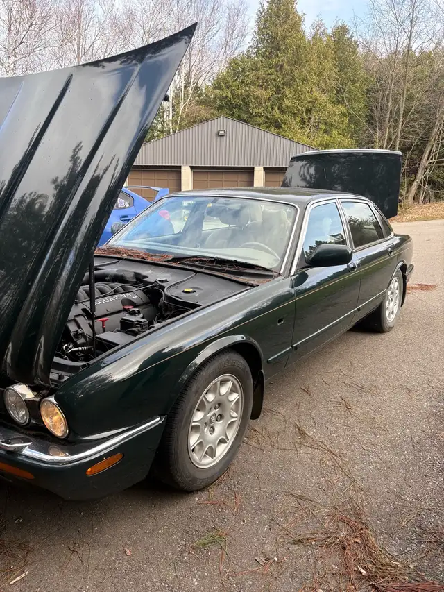 Jaguar XJ8556564731690362882