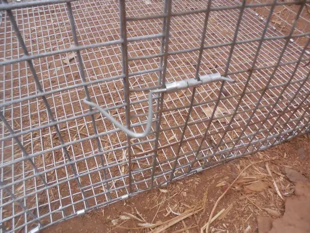 Three wire rabbit cages in Livestock in Annapolis Valley - Image 5