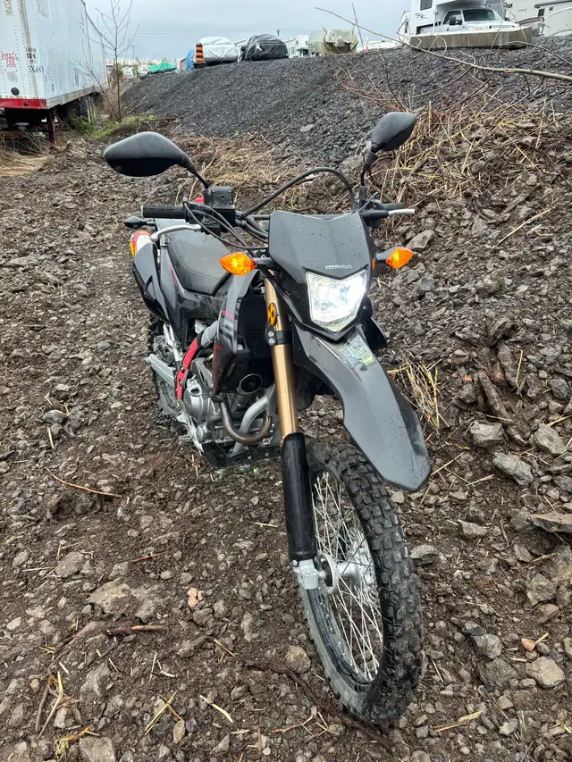 2019 Honda CRF 250L in Dirt Bikes & Motocross in Ottawa - Image 4