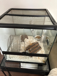 hamster for sale including cage