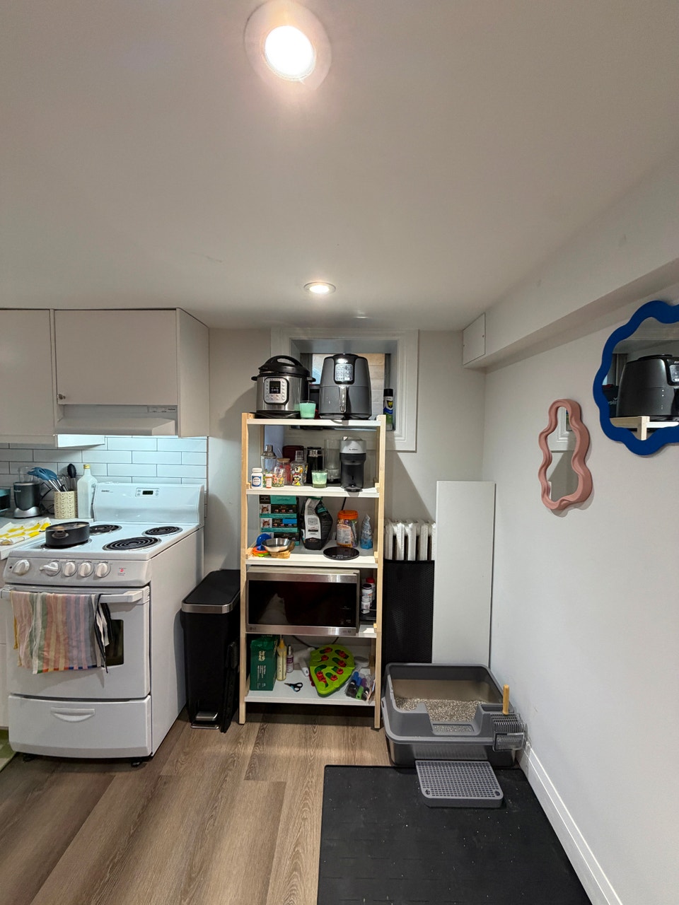 Avenue/Bloor 1 bedroom lower level with shared yard 5