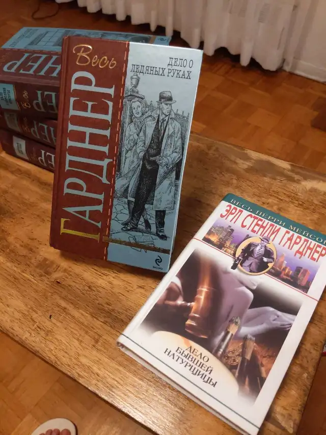 Russian Detective Books Women's Novels62863280770433121