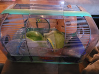 Petite cage pour Hamster