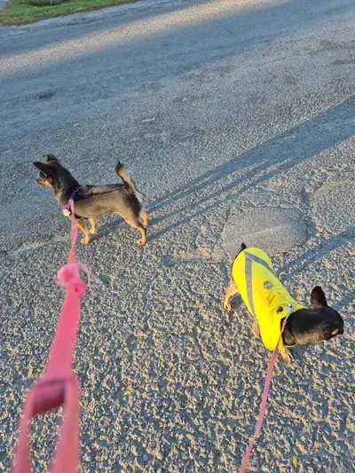 Kohler toilet, View more