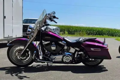Harley Davidson Softail Deluxe Purple Fire and Blackberry Smoke colour. There are only 4 of these in...