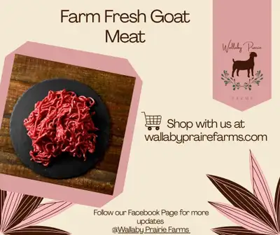 Are you looking for high-quality, farm-fresh goat meat? We offer a range of cuts of goat meat, raise...