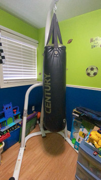 Punching Bag and Everlast Stand