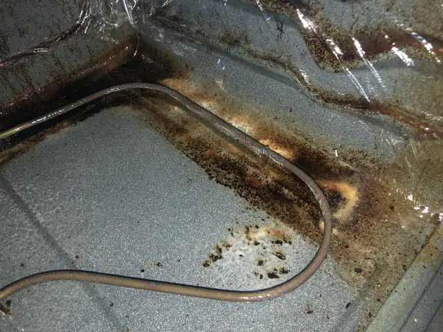 House Cleaner64840199070979120