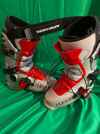 Why Rent Ski Boots and Skis Many Sizes