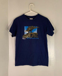 Vintage BBC Walking With Dinosaurs Stegosaurus Kids T-Shirt