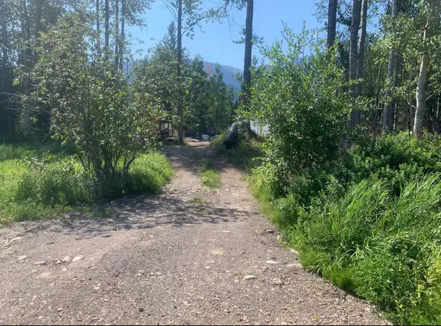 5 Bed 2 Bath House on Acreage 5 minutes from Smithers in Houses for Sale in Smithers - Image 8
