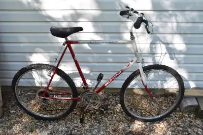 Bicycle Vintage Pioneer, View more