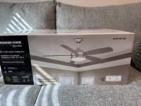 Ceiling Fan - new and in box