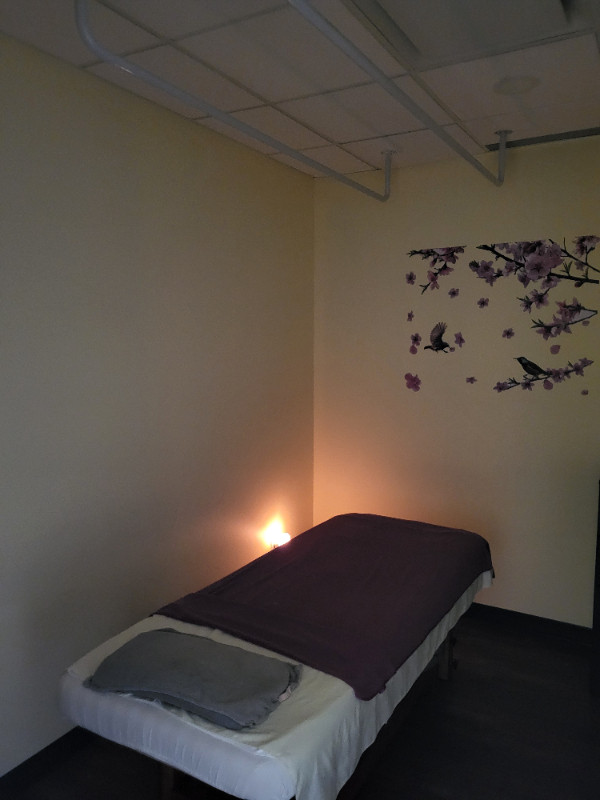 Registered Massage Therapy in Massage Services in Edmonton - Image 3