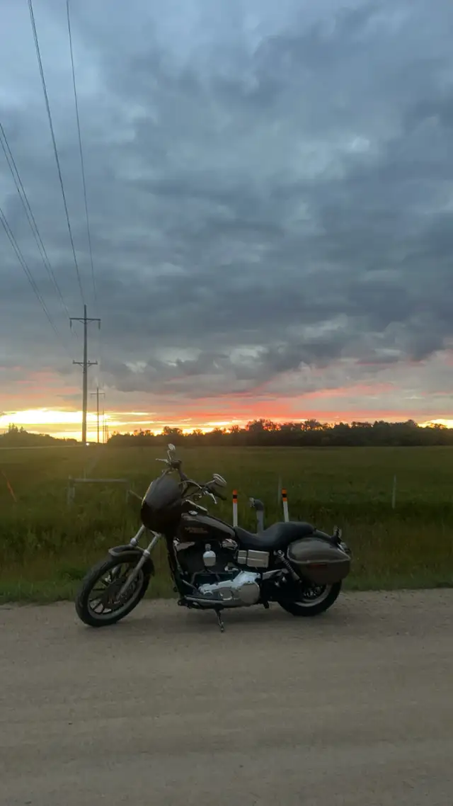 2004 Harley FDHL in Street, Cruisers & Choppers in Winnipeg - Image 2