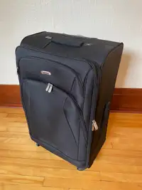 Luggage - Ricardo lightweight