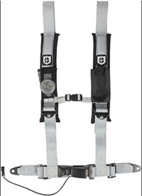 Pro Armor 4-Point Harness - NEW