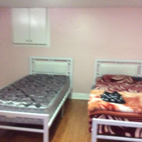 Spacious Large basement room for rent